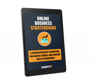 Online Business Starterguide - Fabian Habich. 5 Stragien aus der Praxis, die nachweislich konstante Umsätze bringen!