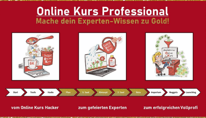 Meike Hohenwarter Online Kurs Professional. Starte jetzt deinen erfolgreichen Online Kurs! Steigere deine Umsätze, erhöhe deine Sichtbarkeit und werde bekannt als Experte in deiner Nische!