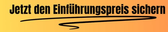 Einführungspreis sichern